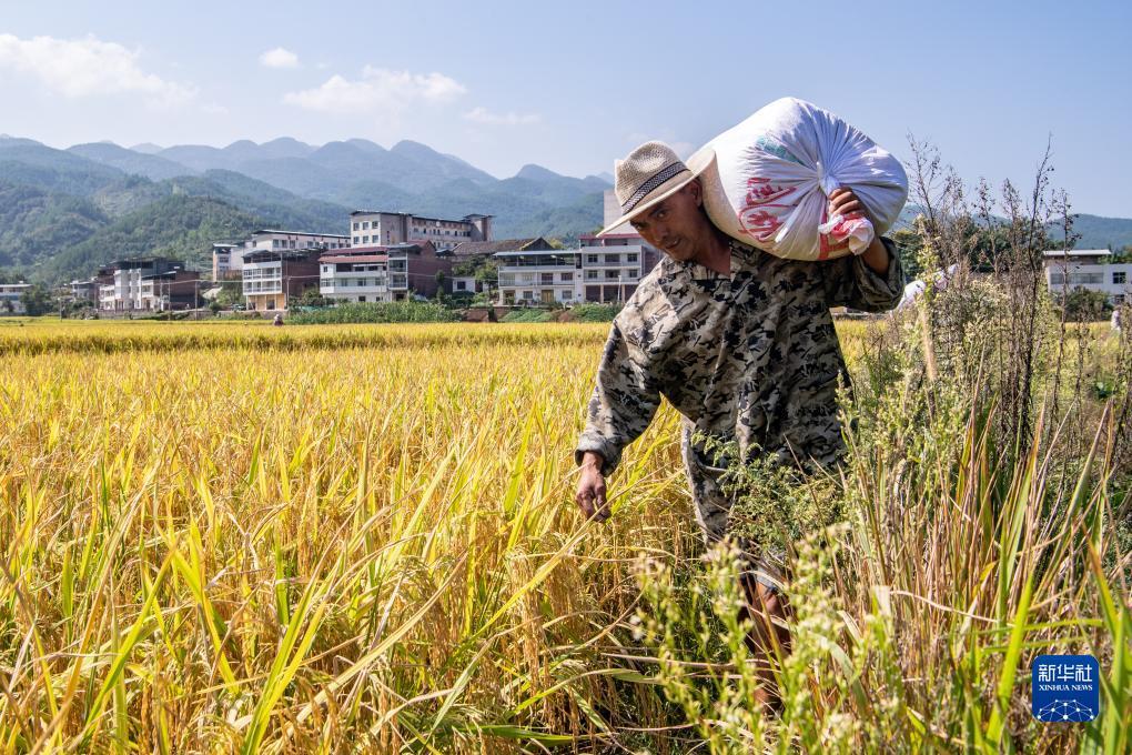摸摸鱼游戏下载